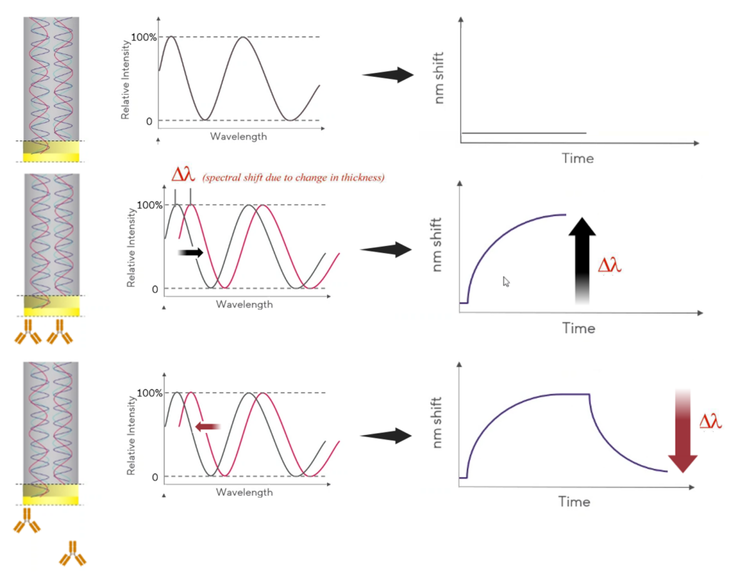 BLI service Platfrom. BindingSolution. BLI Principle.