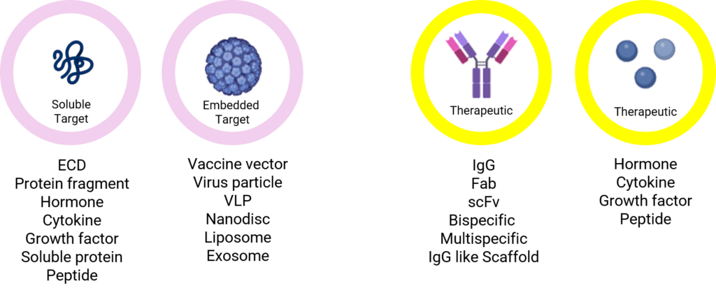 BLI service Platfrom. BindingSolution. Therapeutic & Diversity for BLI Quantitation